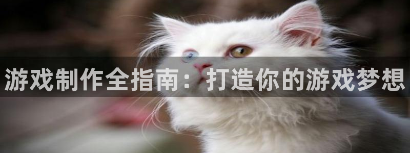 沐鸣2开户地址