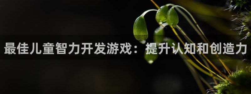 沐鸣娱乐2登录