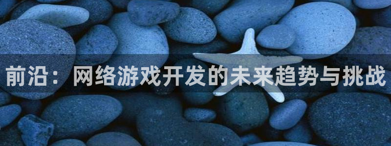 沐鸣2注册首页：前沿：网络游戏开发的未来趋势与挑战