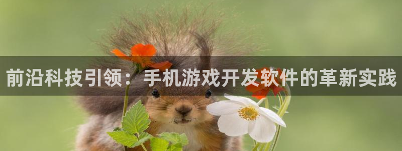 沐鸣2平台登录线路：前沿科技引领：手机游戏开发软件的革新实践