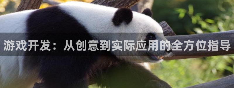 沐鸣2官方登录：游戏开发：从创意到实际应用的全方位指导