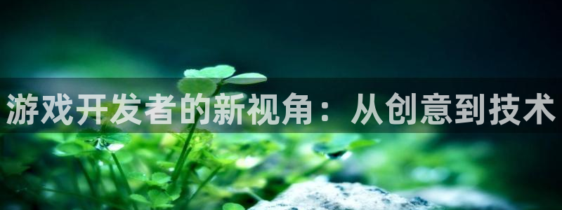 沐鸣娱乐2黑客户吗：游戏开发者的新视角：从创意到技术