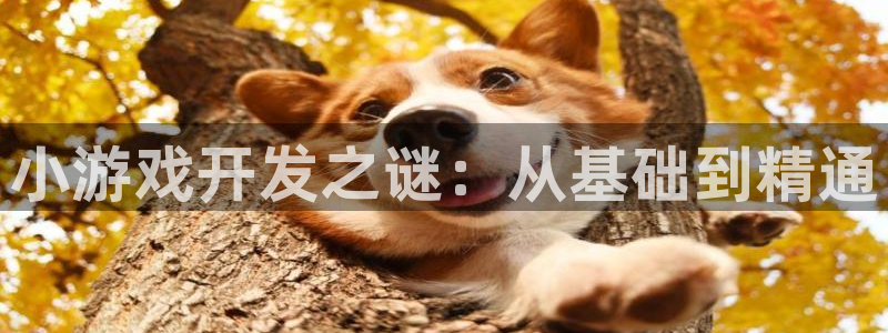 沐鸣2app官方：小游戏开发之谜：从基础到精通