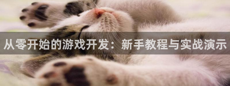 沐鸣2平台代理：从零开始的游戏开发：新手教程与实战演示