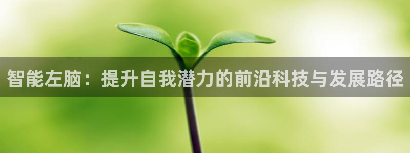 沐鸣娱乐2的分分彩：智能左脑：提升自我潜力的前沿科技与发展路径