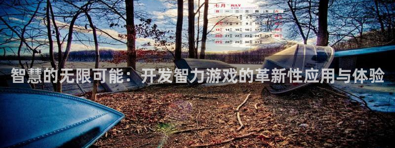 沐鸣2娱乐平台登录客服：智慧的无限可能：开发智力游戏的革新性应用与体验