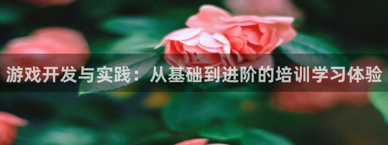 沐鸣娱乐2注册账号：游戏开发与实践：从基础到进阶的培训学习体验