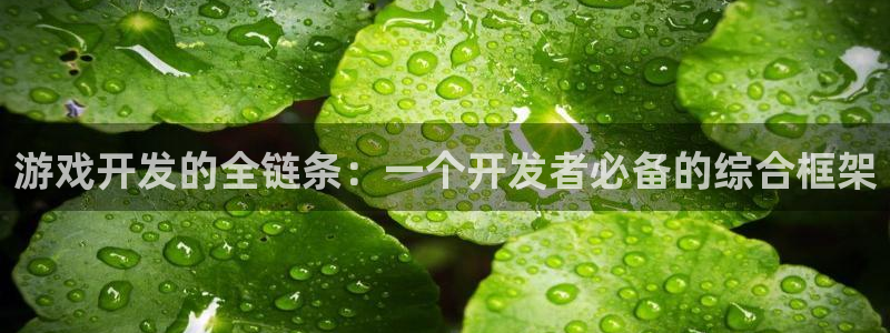 沐鸣2平台官网登录：游戏开发的全链条：一个开发者必备的综合框架