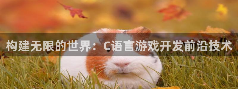 沐鸣2测速登陆：构建无限的世界：C语言游戏开发前沿技术