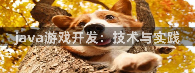 沐鸣娱乐平台2注册：java游戏开发：技术与实践