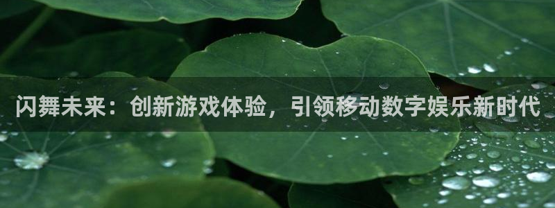 沐鸣2代理注册：闪舞未来：创新游戏体验，引领移动数字娱乐新时代