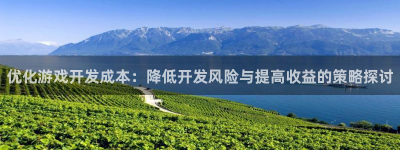 沐鸣2官方：优化游戏开发成本：降低开发风险与提高收益的策略探讨