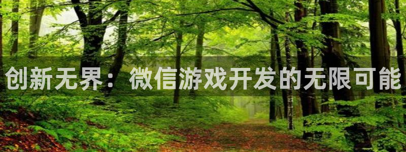沐鸣2注册平台：创新无界：微信游戏开发的无限可能