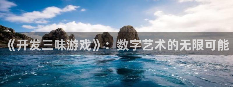 沐鸣2注册33300tg：《开发三味游戏》：数字艺术的无限可能