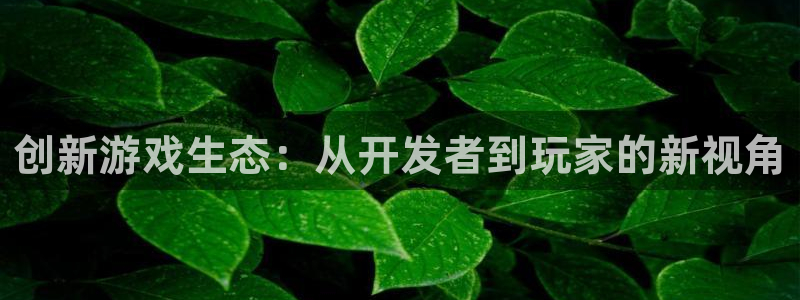 沐鸣娱乐2是干嘛的：创新游戏生态：从开发者到玩家的新视角