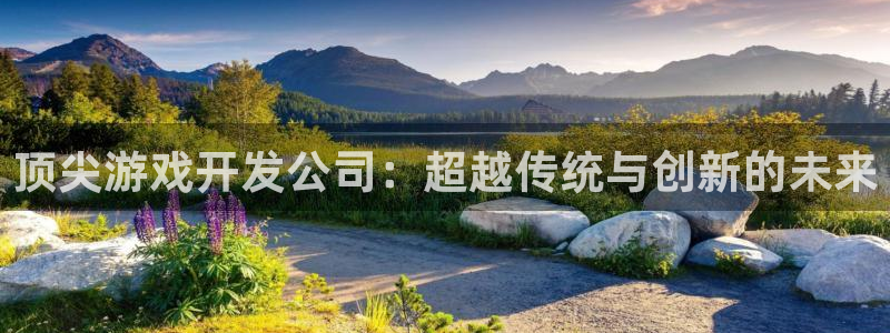 沐鸣2选 37OO735：顶尖游戏开发公司：超越传统与创新的未来