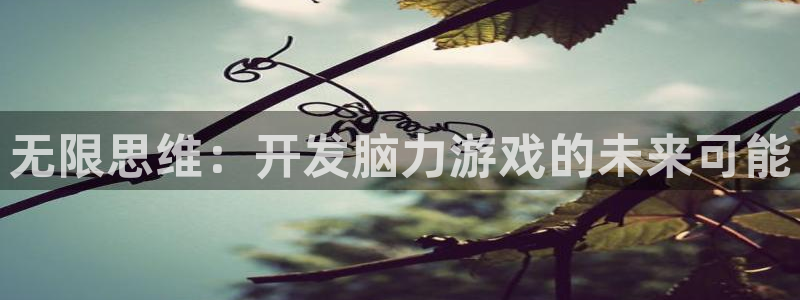 沐鸣娱乐2的分分彩：无限思维：开发脑力游戏的未来可能