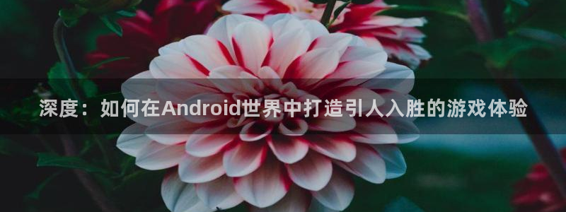 沐鸣娱乐2登陆不上怎么办