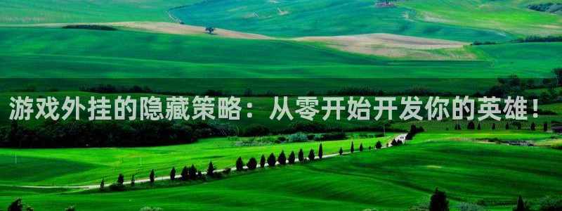 沐鸣2平台主管：游戏外挂的隐藏策略：从零开始开发你的英雄！